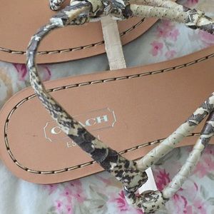 Coach Shoes - Sandals Coach Shoes - Sandals